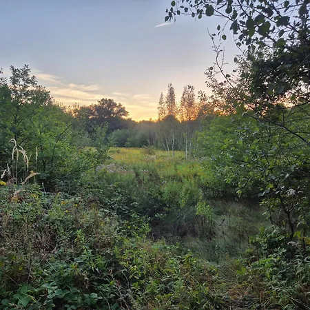 Luksustelt Leoland - Zero Udogodnien *