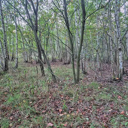 Leoland - Zero Udogodnien Luksustelt *