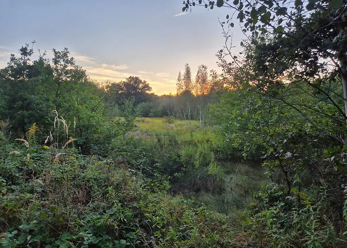 Luksusowy namiot LeoLand - miejsce na namiot - Zero Udogodnień *