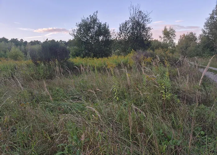 LeoLand - miejsce na namiot - Zero Udogodnień Luksusowy namiot Babice (Raciborz)